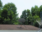 Dish pointing at hole in trees